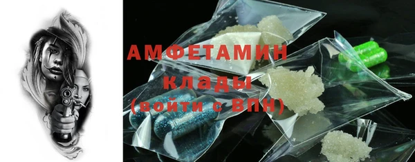 стаф Аркадак