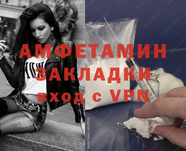 стаф Аркадак