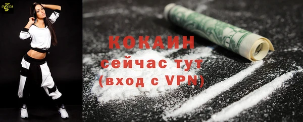 стаф Аркадак