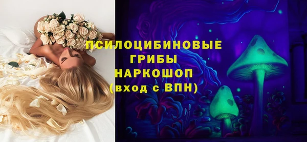 герыч Арсеньев