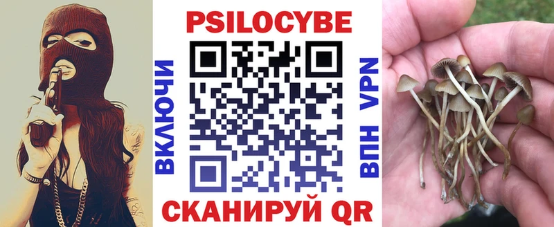Галлюциногенные грибы мицелий  Мещовск 